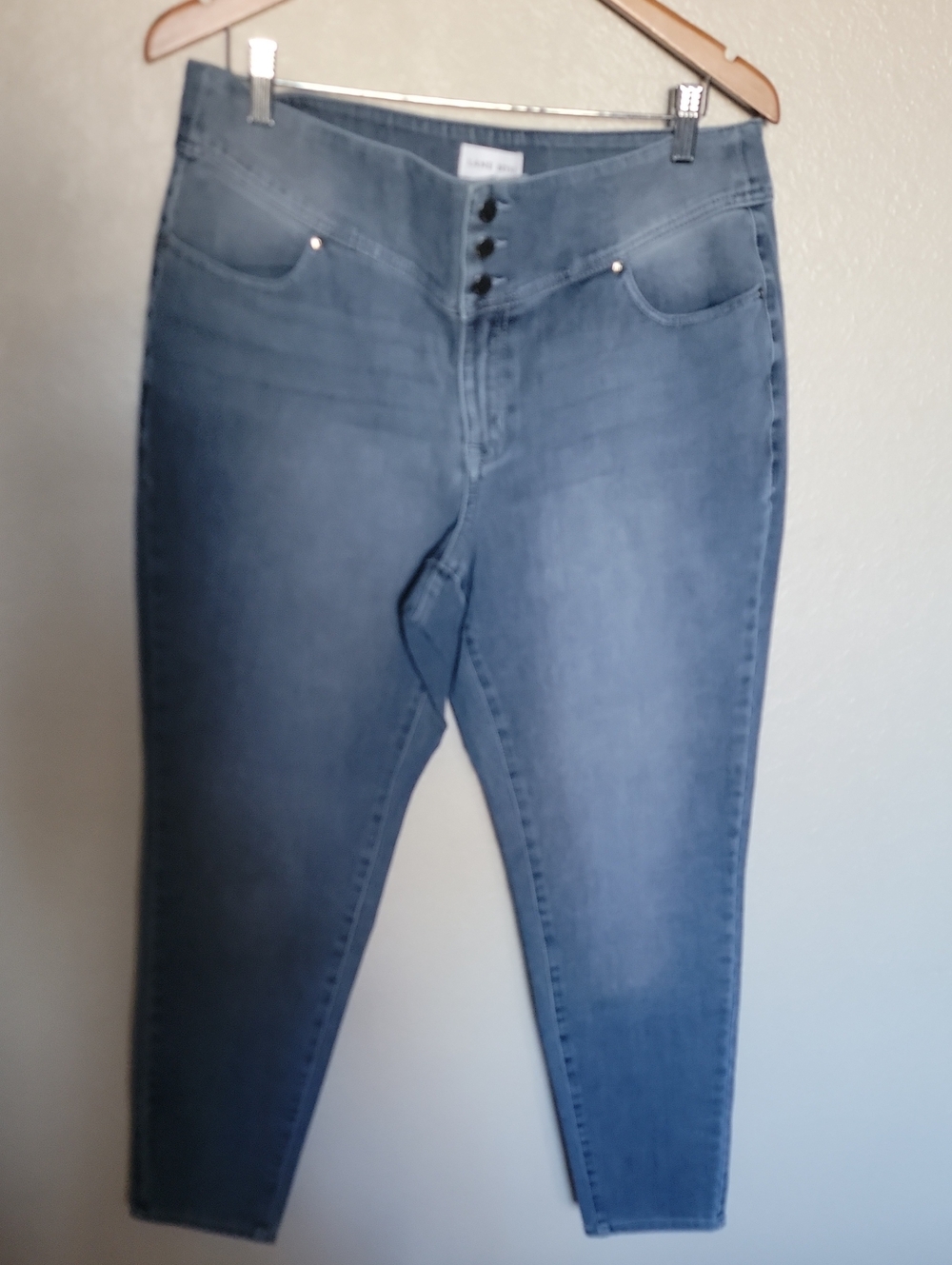 Lane Bryant Light Blue High-Rise Ankle Jeans